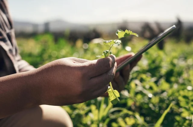 New technology and the future of