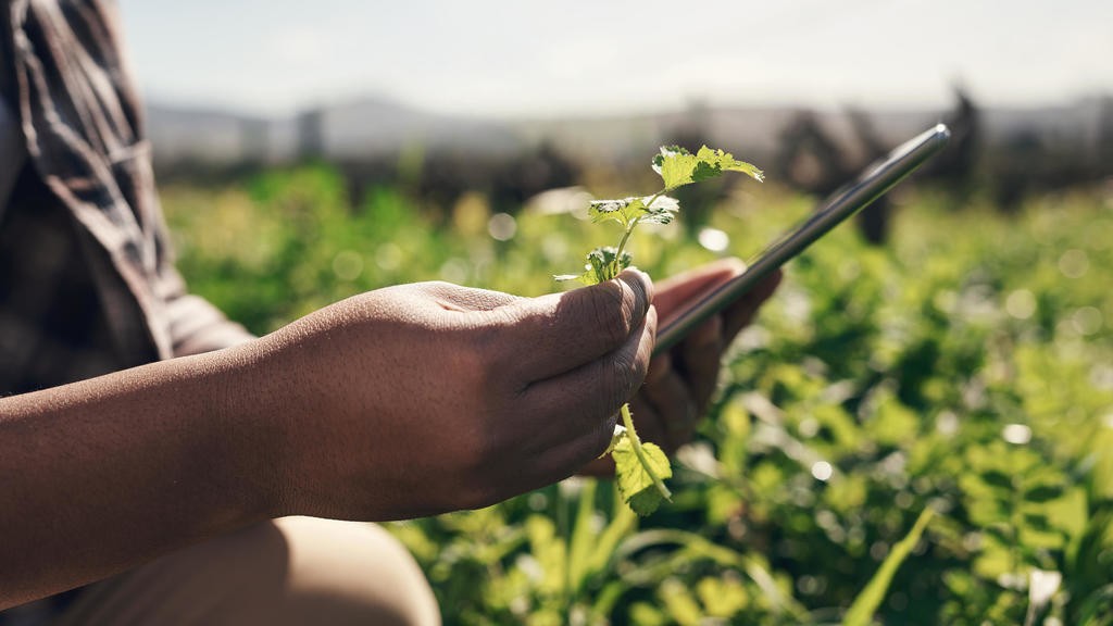 New technology and the future of