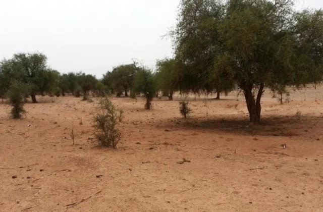 Niger closes infiltrated refugee camp