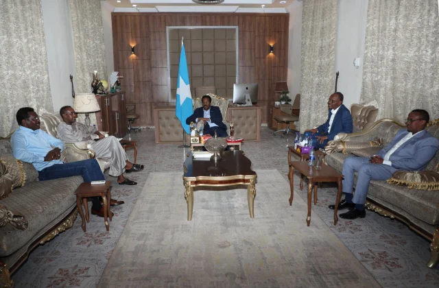 Saameynta Villa Somalia ee magacaabista guddiyada harsan oo …