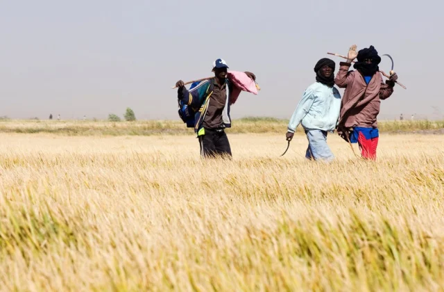 Senegal relies on the export of its products