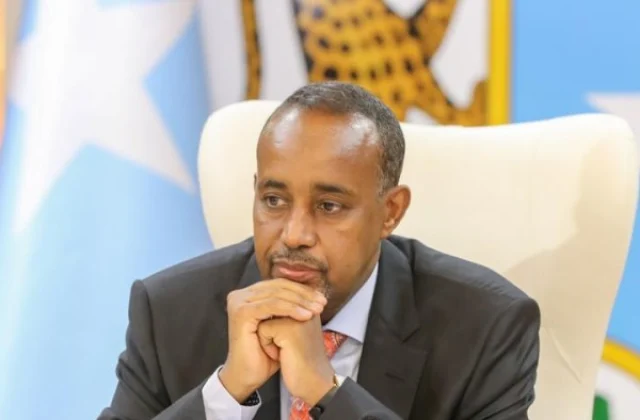 Somali Prime Minister releases final list of Election Commission members amid