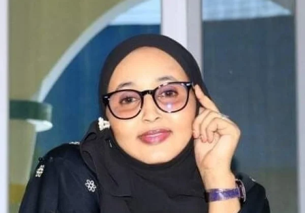 Somalia: Farmajo “critic” expelled from electoral commission team