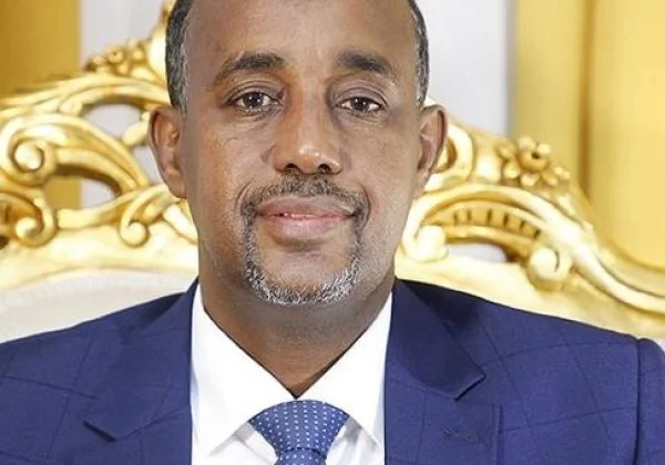 Somalia appoints team to investigate complaints about soldier training