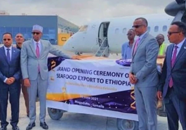 Somalia trades fish for Ethiopian khat over trade deal