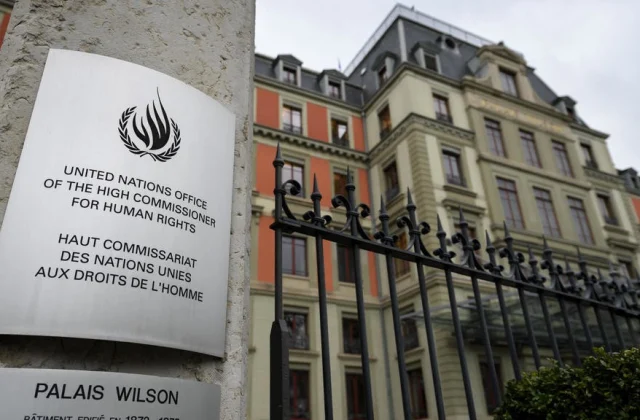 The UN Special Rapporteur paints a picture