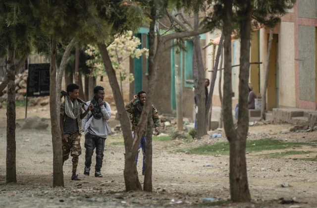 Tigray conflict: in the heart of a cell of