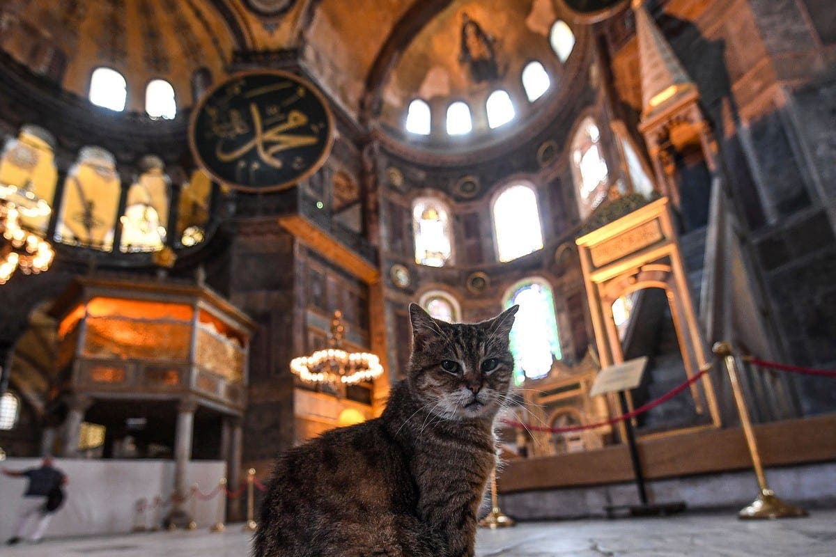 Turkey oo masaafurinaya nin Japanese ah oo arrin yaab leh da…