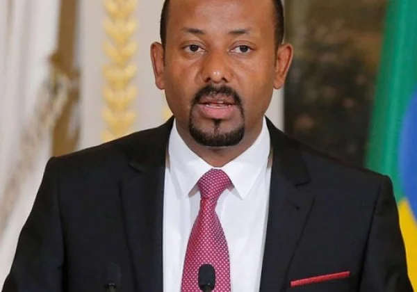 We’ll crush the traitors, says Abiy Ahmed in the course of the Tigray conflict