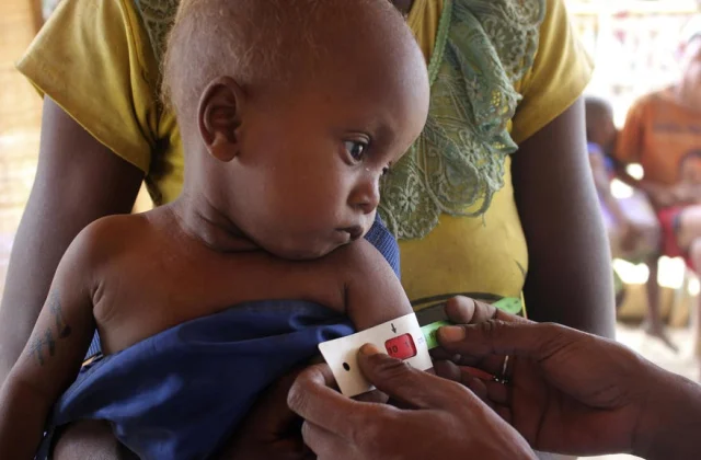 head of WFP in the south due to