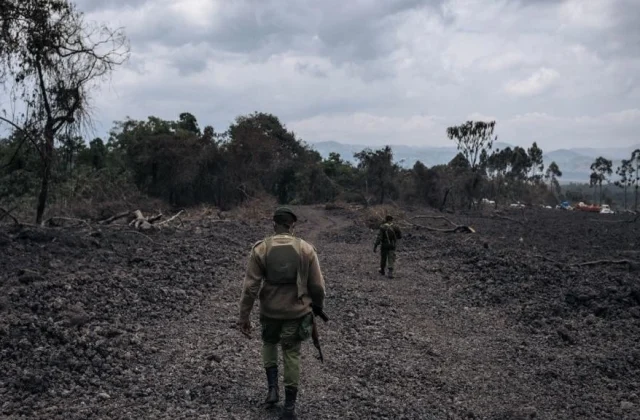 part of Virungaparken disgraced by