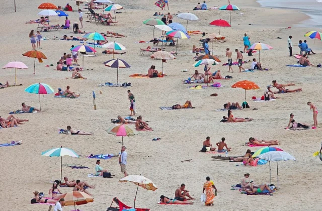 The #1 Finest Drink to Soothe Your Sunburn, Professional Says