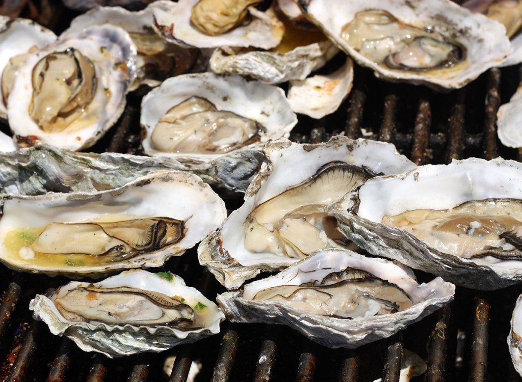 grilled oysters