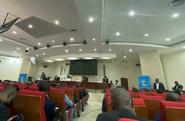 DR Congo launches its general mining survey