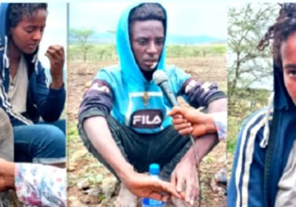 Ethiopia marches suspected baby troopers as TDF responds