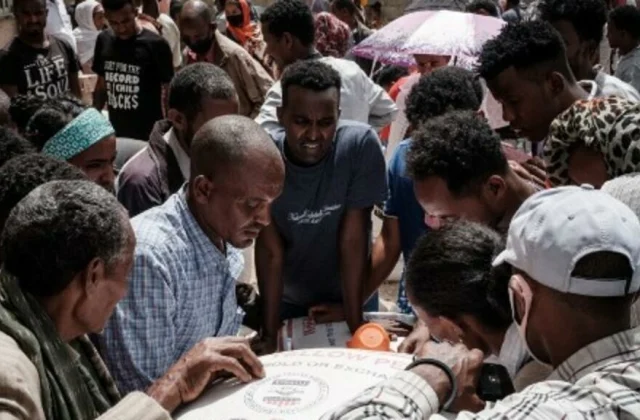 Ethiopian Human Rights Fee