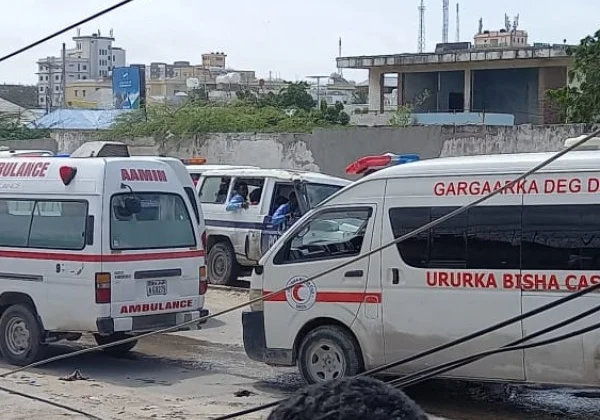 5 useless in morning bomb explosion focusing on senior police official in