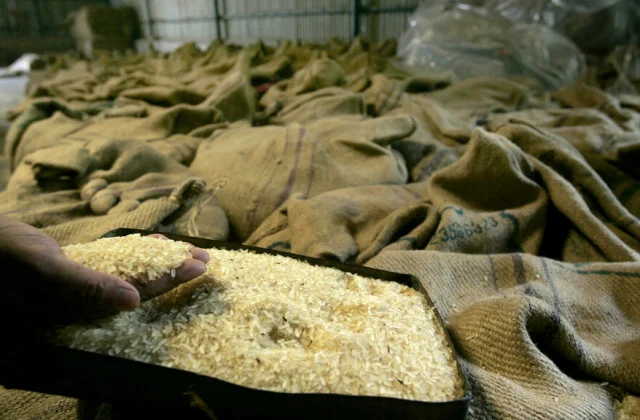 Guinea: the success of a rice farm in the region