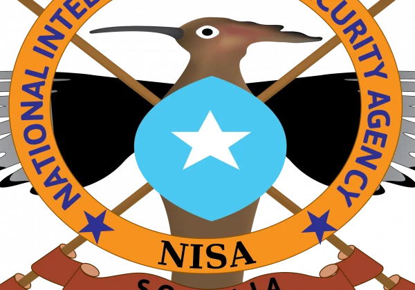 NISA on website about lacking head of division in Somalia elections