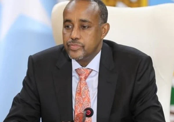 Somali PM sacks prime intelligence officers in thrill transfer