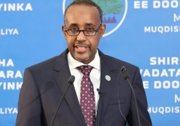 Somali Prime Minister requires unity to defeat terrorism after 4 deaths