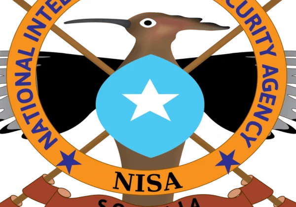 Somali spy company linked to harassment of ladies in Gedo