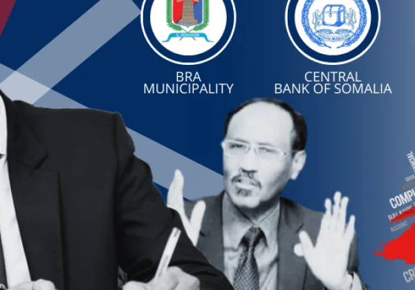 Somalia: Auditor General ordered authorities to cut back
