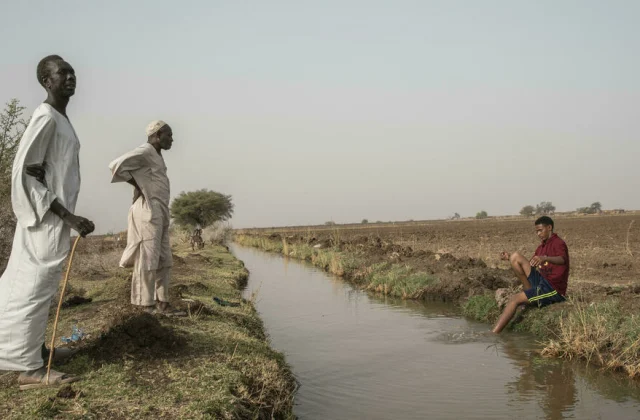 Sudan: lack of information on