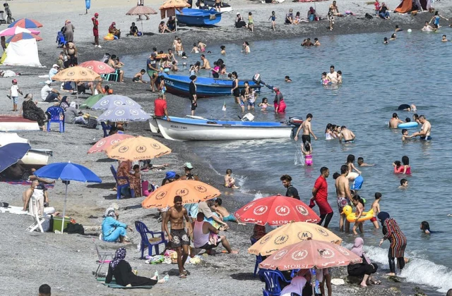 an investigation was launched after intoxication of more
