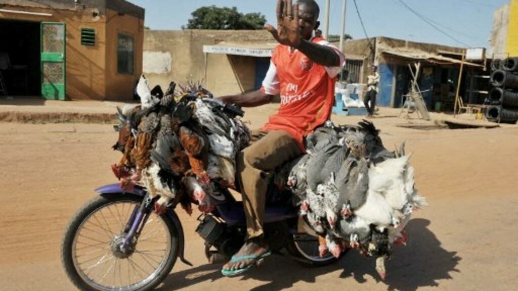 creation of a label for bicycle chicken