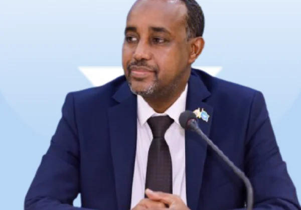 Somali Prime Minister Roble visits Egypt days after Nairobi journey