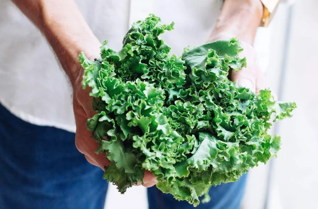 Secret results of consuming kale, says Science