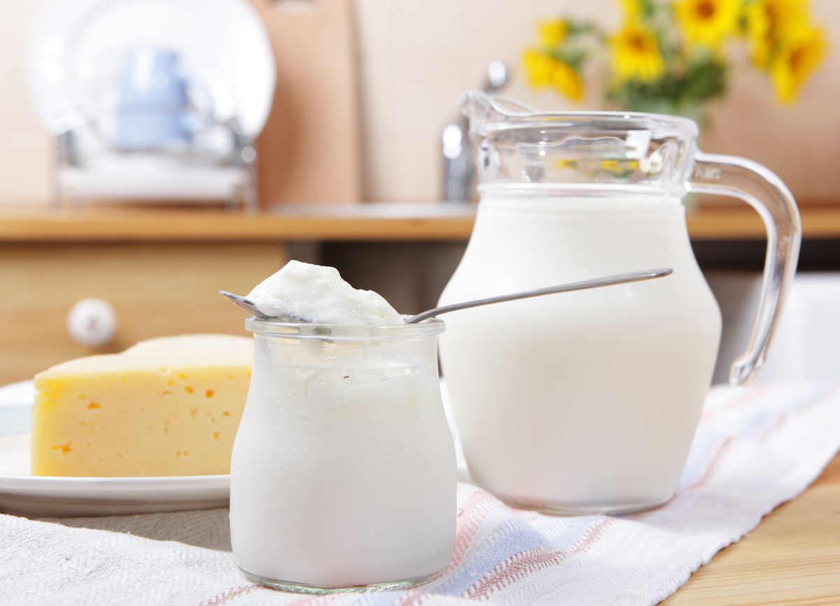 dairy products that jug milk containers yogurt cheese on canvas