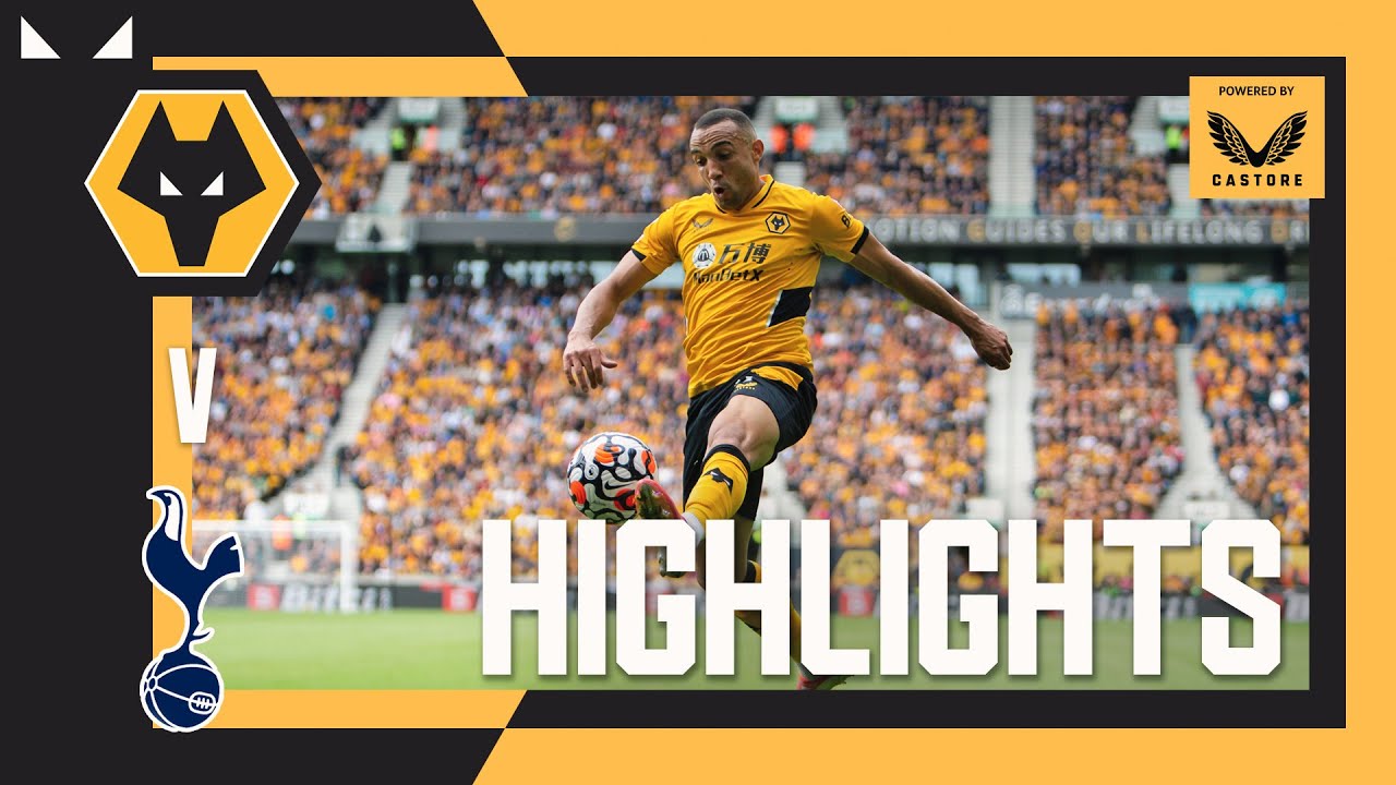 Alli’s first-half penalty gives Spurs all three points |  Wolves 0-1 Tottenham Hotspur |  Strong points