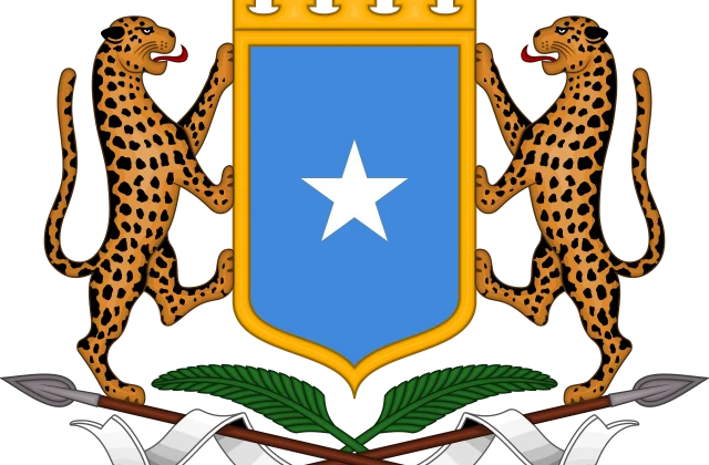 DF oo war kasoo saartay qabsashada Taalibaan ee