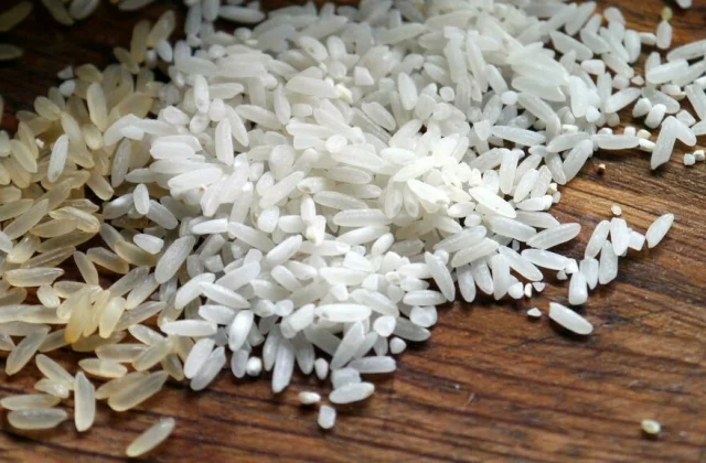 DRK: Rice growers in the Lubumbashi region are trying