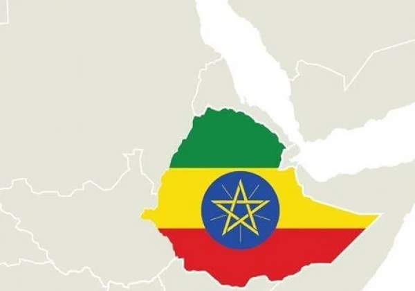 Ethiopian authorities claim they have arrested suspected TDF brokers