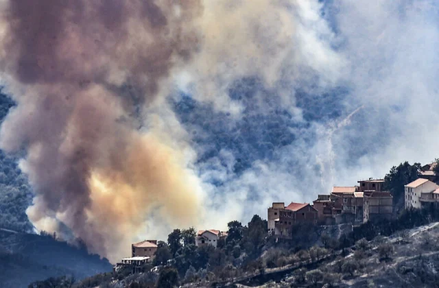 Forest fires continue to rage over Algeria, suspected