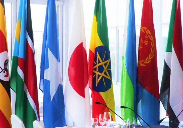 Somali partners welcome progress in Somalia elections