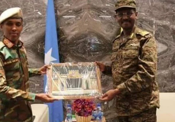 The commander of the Somali army in Addis Ababa talks with his colleague ENDF