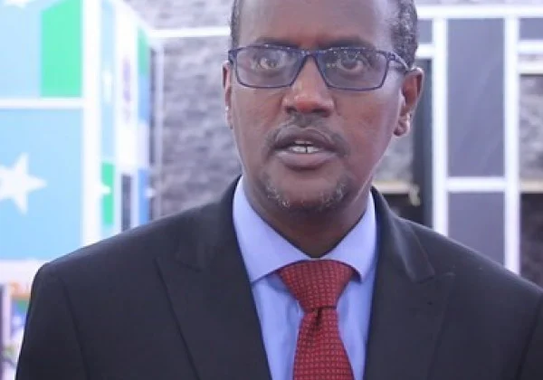The head of the Somalia Election Commission accused the FMS of interfering