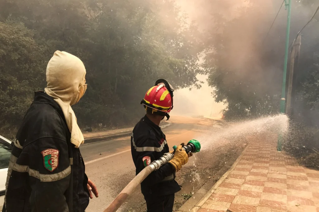 Survivors of forest fires in Algeria are calling for help, mourning