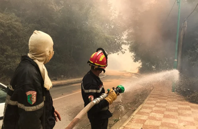 Survivors of forest fires in Algeria are calling for help, mourning
