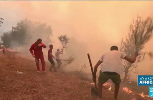 The fire brigade is making progress as the Algerians pray for those who have lost