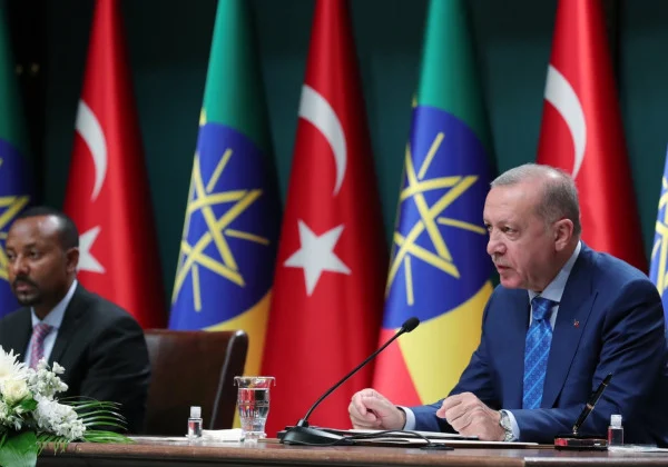 Turkey requires peaceable settlement of Tigray battle
