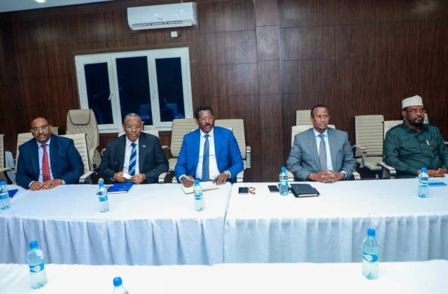 Somalia: FMS and opposition electoral group to examine controversial election issues