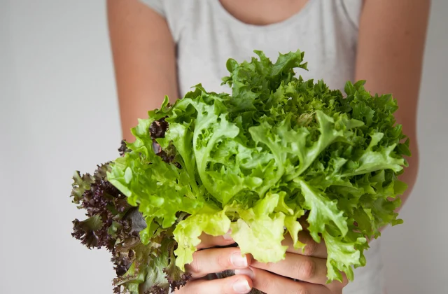 The # 1 greatest leafy inexperienced to assist management physique fats, says dietitian