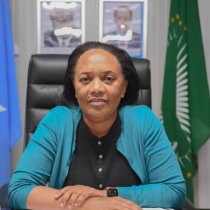 AU appoints new diplomat to replace the expelled AU envoy