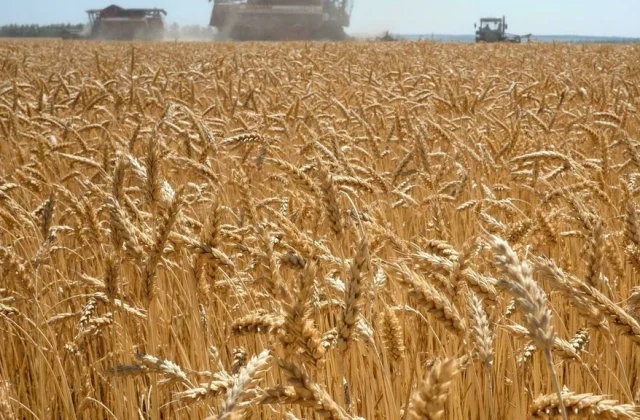 Africa is being organized in the face of the risks of food crises
