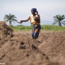 African countries to define the priorities of regional agri food systems